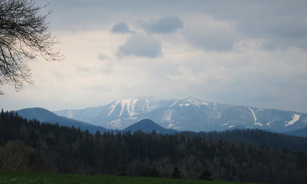 wiesenwienerwald